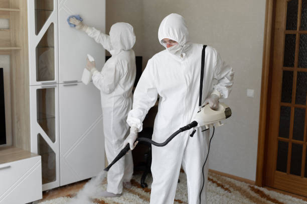 24/7 Emergency Odor Removal experts in Arcanum, OH